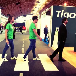 Tigo Energy team members